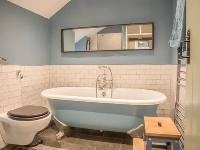 a bathroom with a tub and a toilet and a mirror at Bwthyn Dyfi in Machynlleth