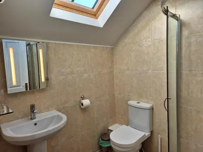 a bathroom with a toilet and a sink and a skylight at Kestrel Farmhouse in Llandovery