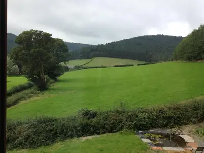 a field of green grass with a tree in the distance at Laurel Bank in Abbey-Cwmhir