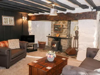 a living room with a fireplace and a tv at Fro Awel in Dolgellau