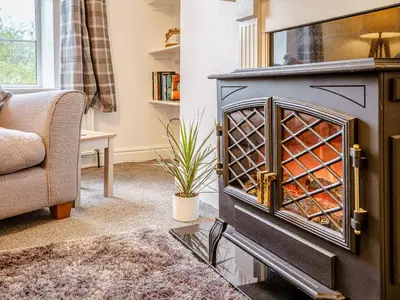 a living room with a wood burning stove at Fron Towyn Cottage in New Quay