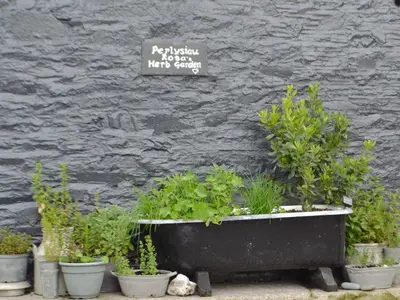 a planter filled with plants in front of a wall at Caffi Sali - Weluk143 in Blaenpenal