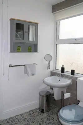 a bathroom with a sink and a toilet and a window at The Holt in Llangollen