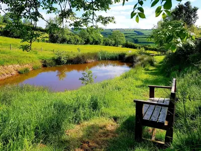 a bench sitting in the grass next to a pond at Cornflour Cozy Cabin Retreat in Craven Arms