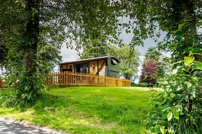 a cabin in the middle of a green field with trees at Woodpeckers in Llandrindod Wells