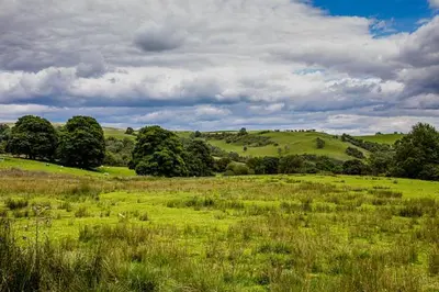 a field with green grass and trees on a cloudy day at Woodpeckers in Llandrindod Wells