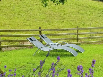 a bench sitting in the grass next to a fence at The Hideaway in Highgate
