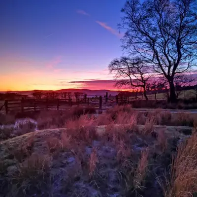 a sunset in a field with a fence and a tree at the cwch in Llanbister