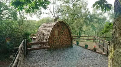 a small building in the middle of a forest at Owl Hut Cosy Ensuite Pod Snowdonia Coast Sleeps 2 in Dolgellau
