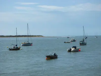 a group of boats in a large body of water at The Look Out in Aberdyfi