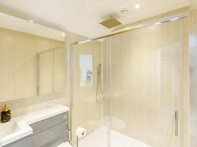a bathroom with a shower and a toilet and a sink at Cwm Dulas in Llanddewi-Brefi