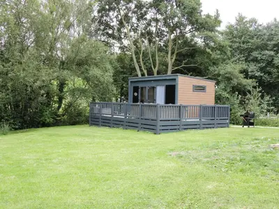 a small cabin in a grassy field with trees at Jacob's Meadow in Shrewsbury