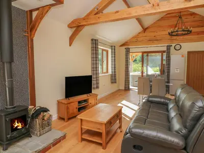 a living room with a couch and a fireplace at Ploony Hill Cabin in Knighton