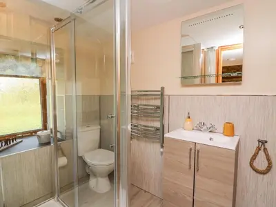 a bathroom with a shower and a toilet and a sink at Tegfan Barn in Rhayader