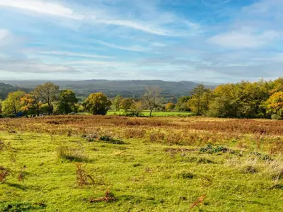 a field of grass with trees in the background at Paramount Cottage in Farden
