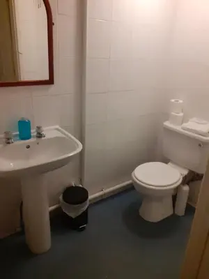 a bathroom with a white toilet and a sink at Bryncarnedd Farmhouse in Aberystwyth