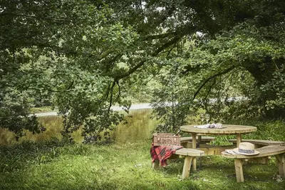 a picnic table under a tree next to a lake at Tan Llan in Dolgellau