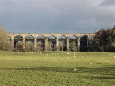a herd of animals grazing in a field in front of a bridge at Belmont Bridge in Oswestry