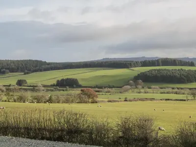 a green field with animals grazing in it at Stapeley Pod in Shrewsbury