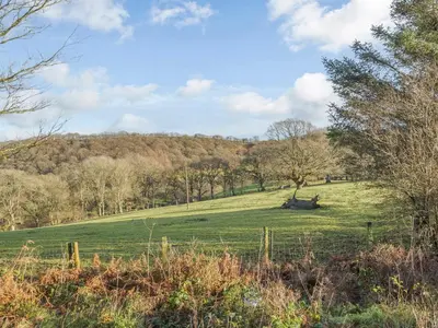 a grassy field with trees in the background at Pen Y Crug in Beulah