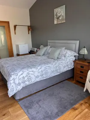 a bedroom with a large bed and a night stand at Bryn Derw in Talsarnau