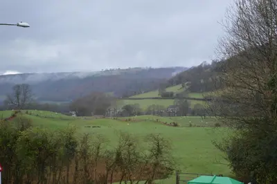 a green field with animals in the distance at Brigands Inn in Mallwyd