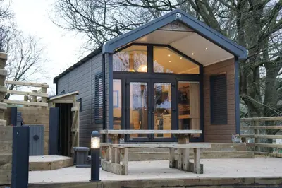 a tiny house with a bench in front of it at Woodland Escape in Nantmel