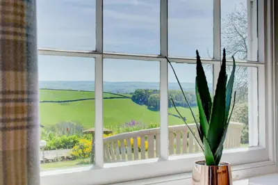a window with a potted plant on a window sill at 3 Bed in Welshpool oc-bow122 in Welshpool