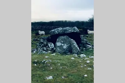 a group of sheep in a field with a large rock at Lle Mary - Beautiful views, Hot tub, Secluded, Dog Welcome, Barmouth in Llanddwywe