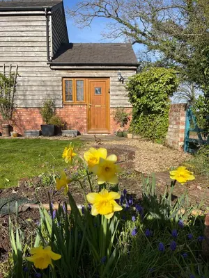 a house with yellow flowers in the front yard at Archers Cottage in Leominster