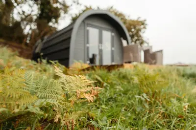 a house with a window on top of a field of grass at Cefn Crib Cabins in Machynlleth