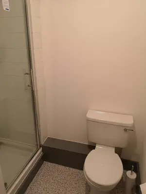 a bathroom with a toilet and a shower at Ty'r Bont Studios in Newtown