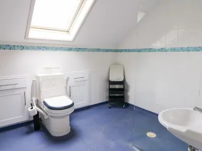 a bathroom with a toilet and a sink at Tynewydd Fields in Lampeter