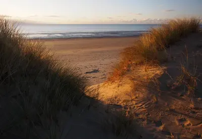 a sandy beach with tall grass and the ocean at Tŷ Treflan in Aberdyfi