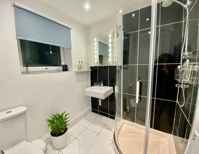 a bathroom with a shower and a toilet and a sink at Tŷ Treflan in Aberdyfi