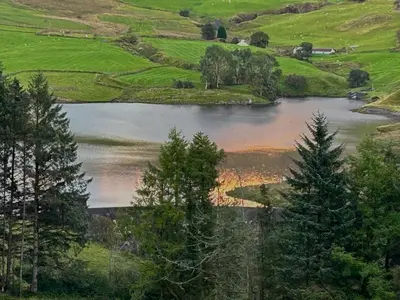 a lake in the middle of a field with trees at Forester's Retreat Glamping - Cambrian View- Vaccinated dogs over the age of 2 are accepted in Aberystwyth