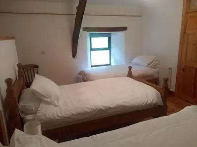 two twin beds in a room with a window at Blaentwrch Farmhouse in Llanddewi-Brefi