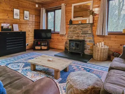 a living room with a couch and a fireplace at Luxury Wood Lodge with sauna, log burner & private woodland garden - Wnion Wood Lodge in Llanfachreth