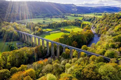 a bridge over a river in a forest at Fern Studio 1 Bedroom Apartment in Llangollen