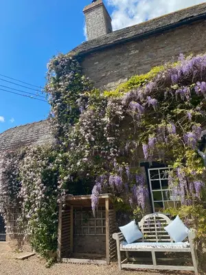 a house with purple flowers on the side of it at Three Cocks Hotel in Brecon