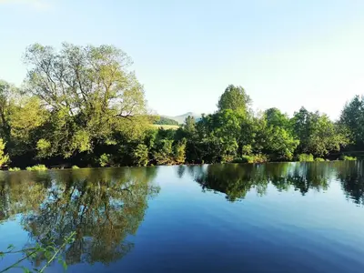 a view of a lake with trees in the background at Kooky Cottage in Brecon