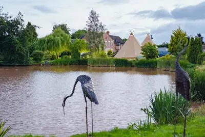 two birds standing in the grass near a pond at Winsley Park Farm in Leominster