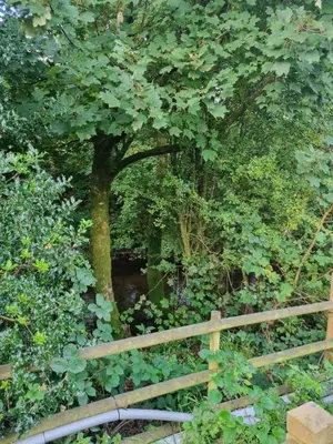a wooden fence in front of a tree at Glamping Hut - Sleeps 2 hot tub & parking in Welshpool