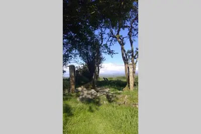 a view of a field with trees and grass at 2 Bed Rural cottage between the mountains and Sea in West Wales in Lampeter