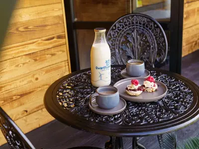 a table with two cups of coffee and a bottle of milk at The Piglet Pod in Llanarth