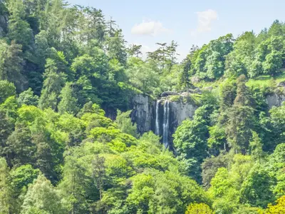 a waterfall in the middle of a forest at Awel Y Berwyn in Oswestry