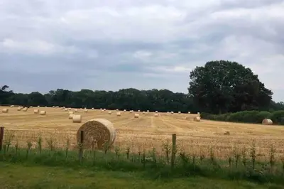 a field full of hay bales in a field at Secluded Log Cabin in beautiful private gardens in Broxwood