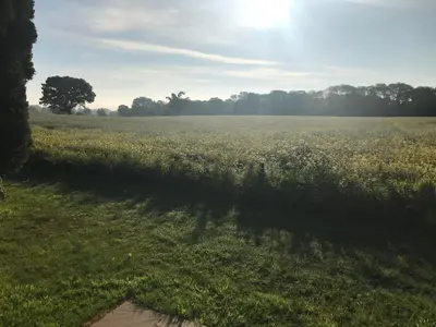 a field of grass with the sun in the distance at Secluded Log Cabin in beautiful private gardens in Broxwood