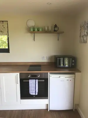 a kitchen with a counter and a stove and a refrigerator at Secluded Log Cabin in beautiful private gardens in Broxwood
