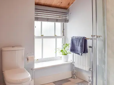 a bathroom with a toilet and a window at Uk34913 - Bwlchgraig Fach in Nantcwnlle